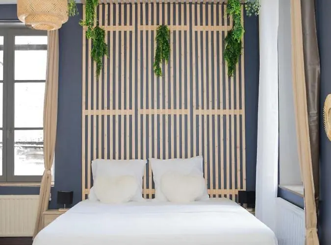 Evasion Tropicale - Studio Avec Spa, Cosy Et Renove Au Coeur De Soissons - 2 Pers